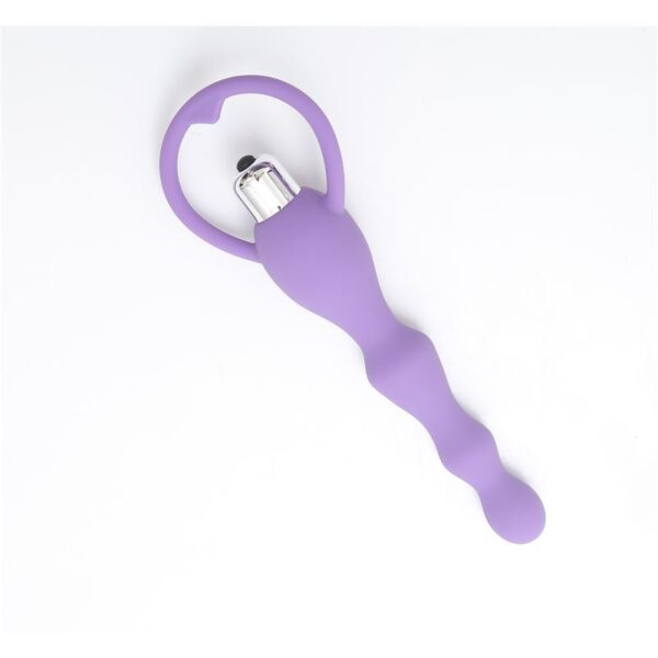 Vibrador Anal Inexpulsable Bruselas (pilas incluidas)